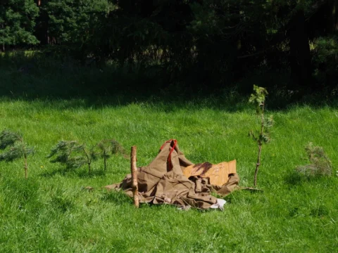 Tábor