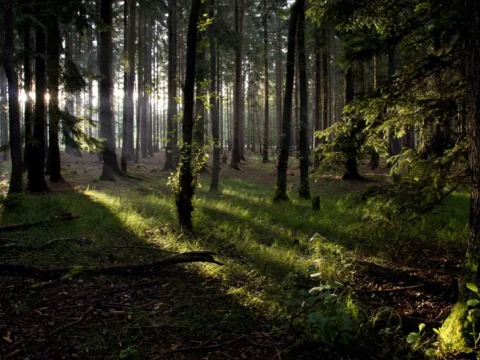 Tábor