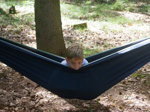 Kučup ji asi sní