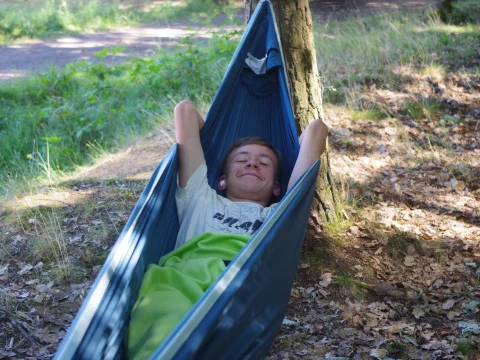 Stýblo odpočívá