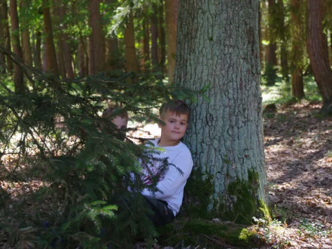 Mikeš