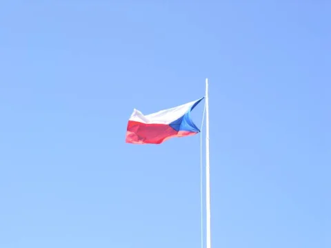 Vlajka