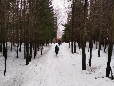 výlet