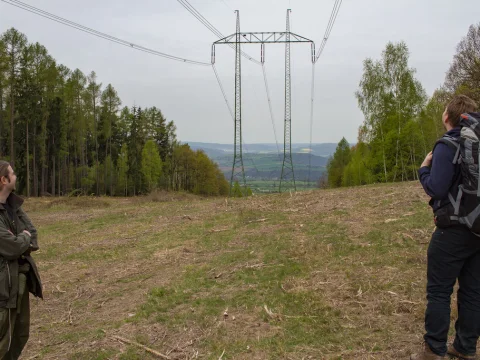 Pod dráty