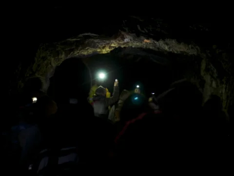 Dostali jsme i odborný výklad