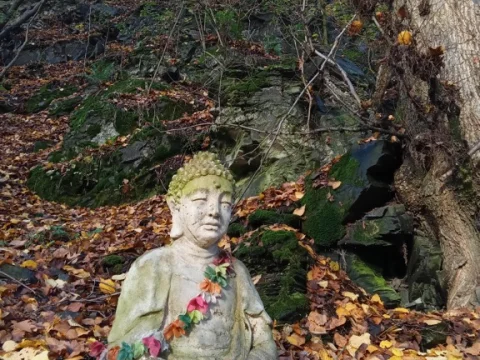 Krašov