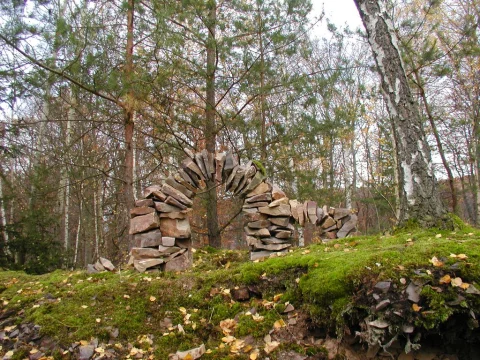 Brana