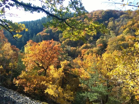 Výlet