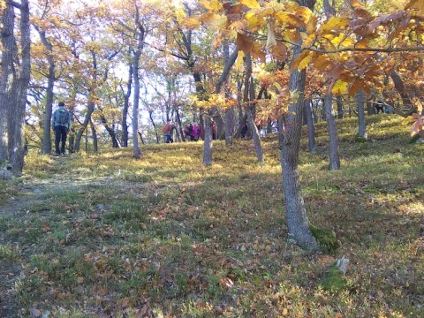 Výlet