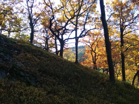 Výlet