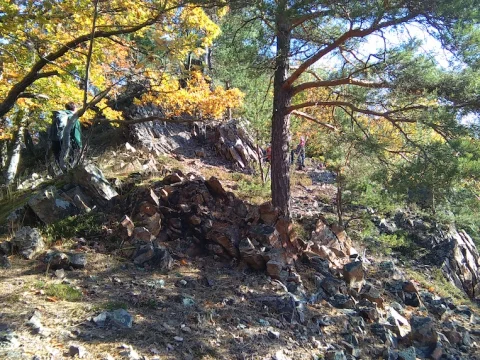 Výlet