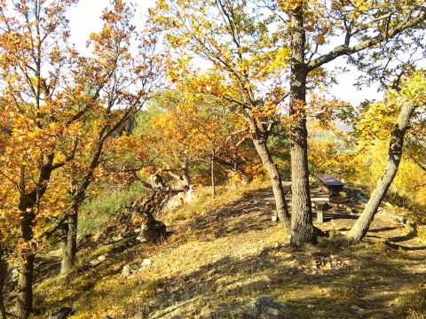 Výlet