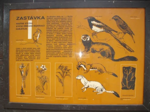 Naučná stezka