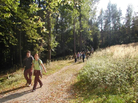 Cesta zpátky