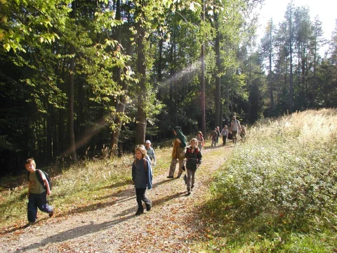 Cesta zpátky