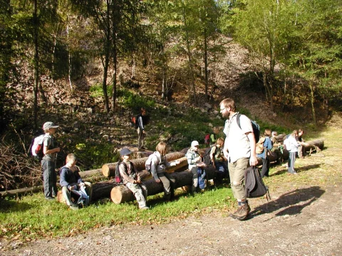 Cesta zpátky