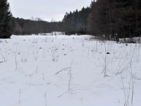 Všude sníh