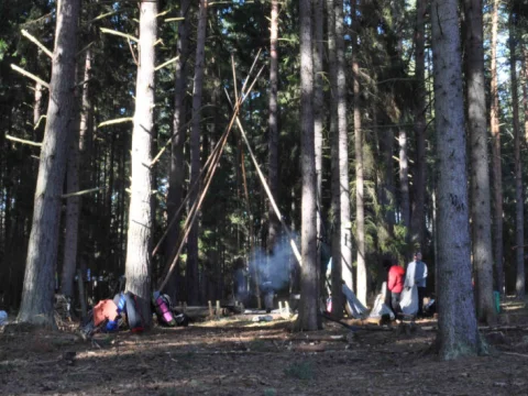 Bourání a úklid