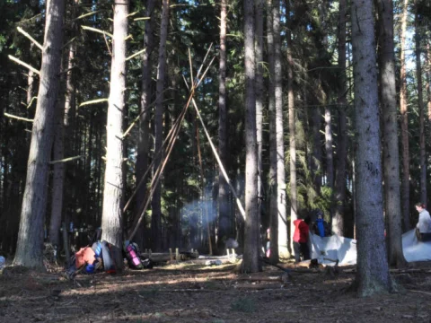 Bourání a úklid