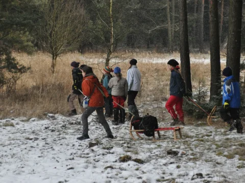 Hobiti a jejich poníci na cestě