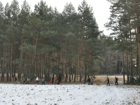 Hobiti a jejich poníci na cestě