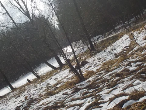 táborová louka se sněhem