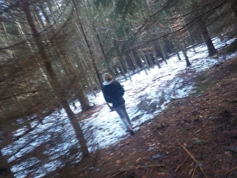 Julča